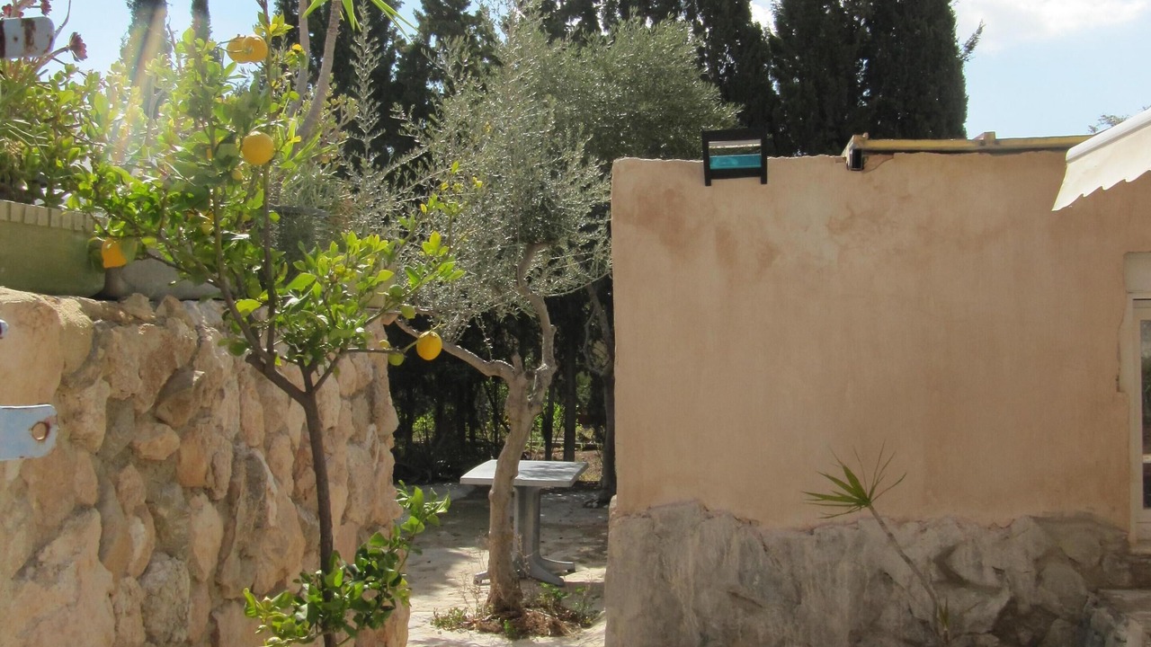 Photo of Outdoor in Mutxamel