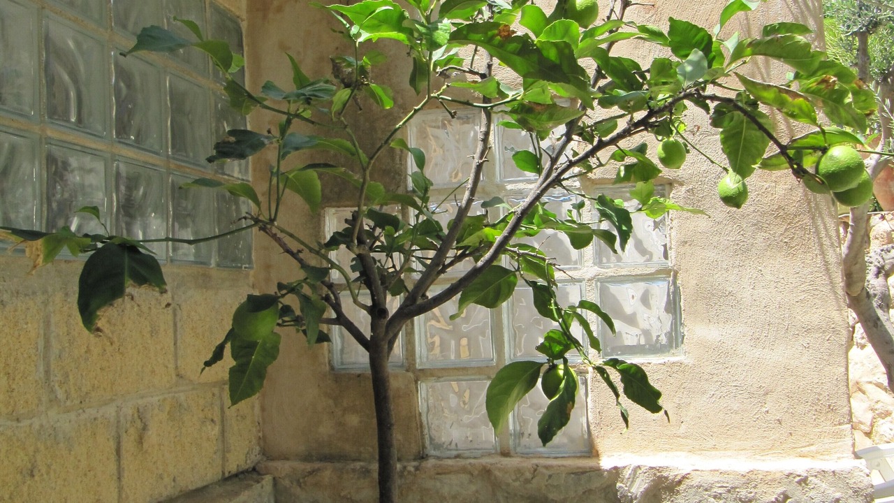 Photo of Outdoor in Mutxamel
