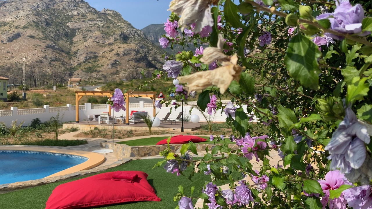 Photo of Outdoor in Gandia
