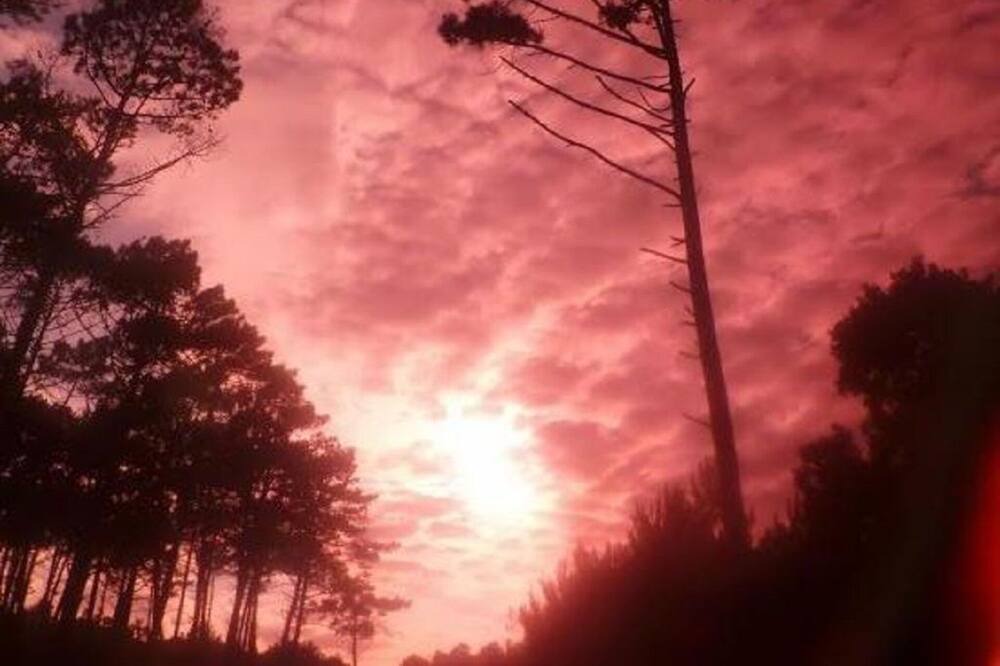 Photo of Others in Le Canon