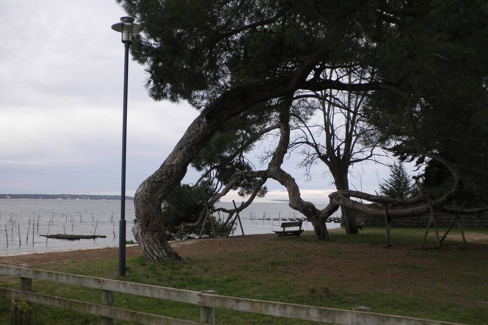 Photo of Others in Le Canon