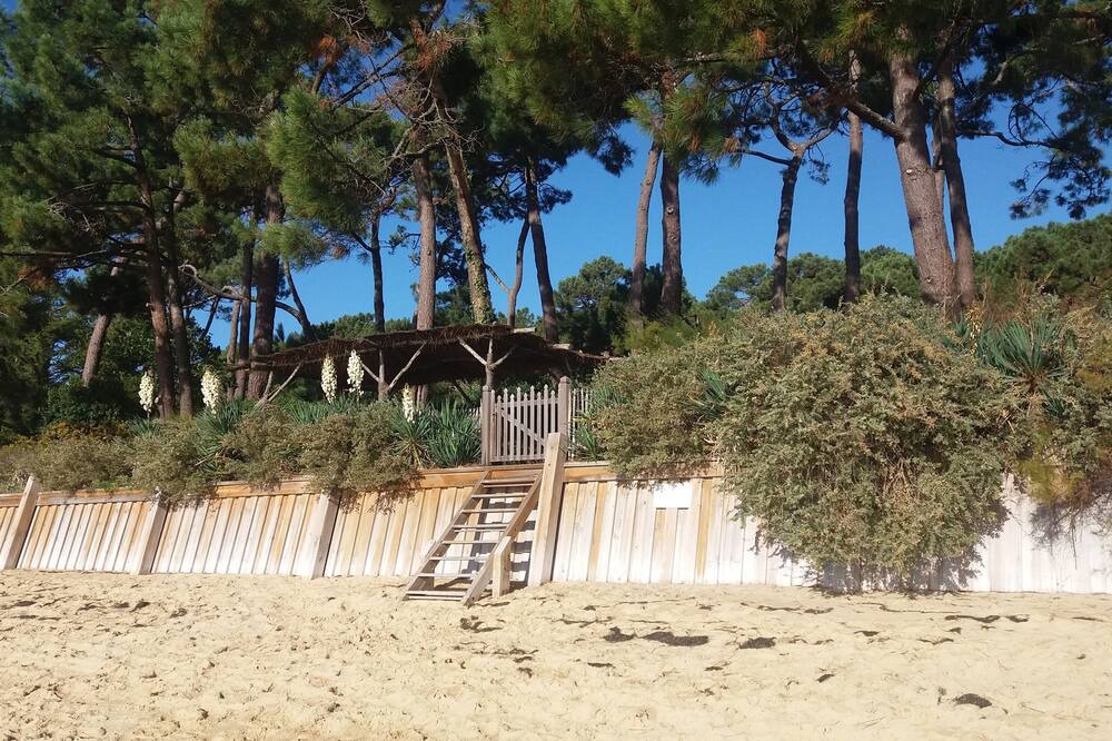 Photo of Others in Le Canon