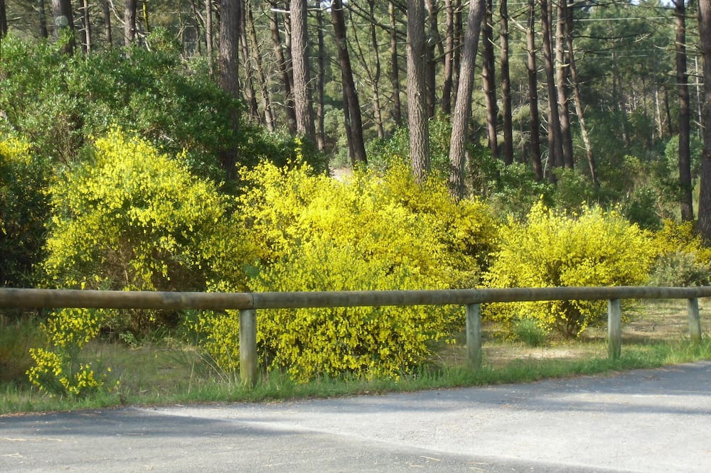 Photo of Others in Le Canon