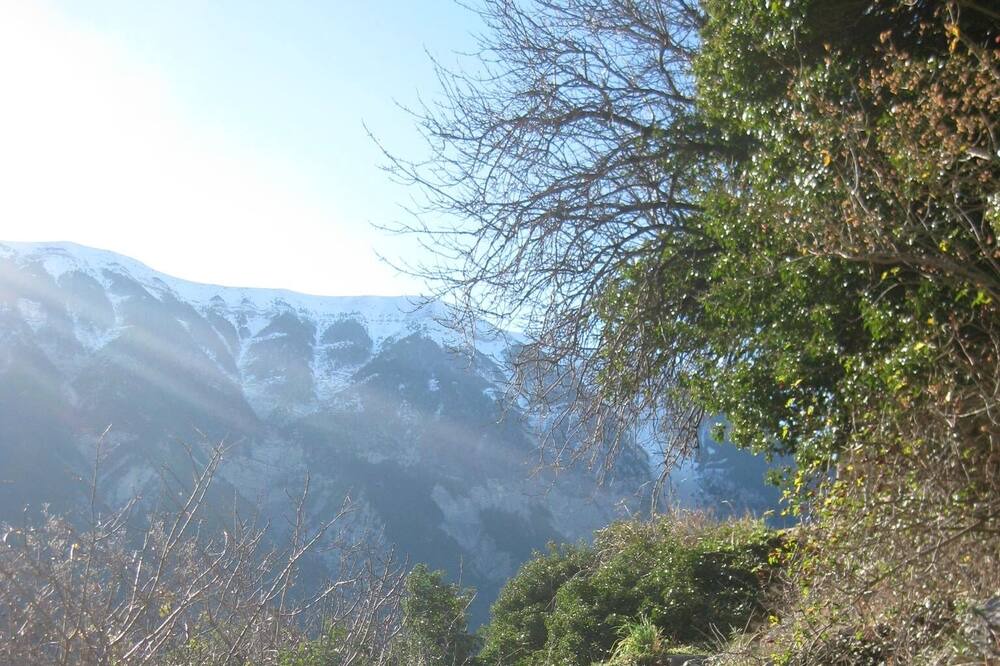 Photo of Others in Plaisians