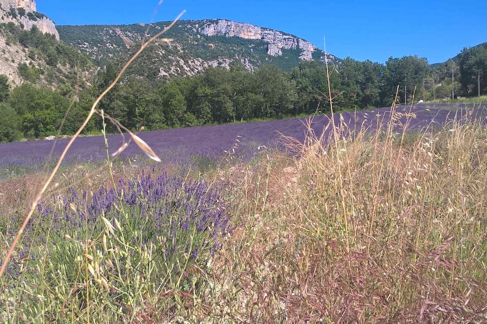 Photo of Outdoor in Plaisians