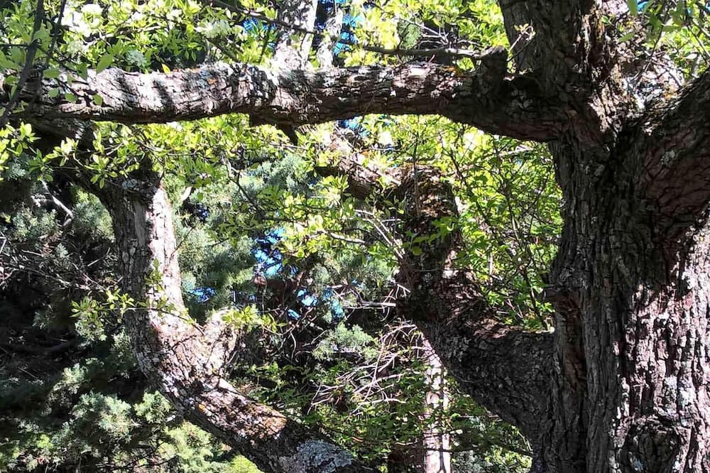 Photo of Outdoor in Plaisians