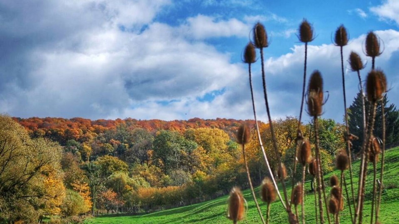 Photo of Others in Trouhaut