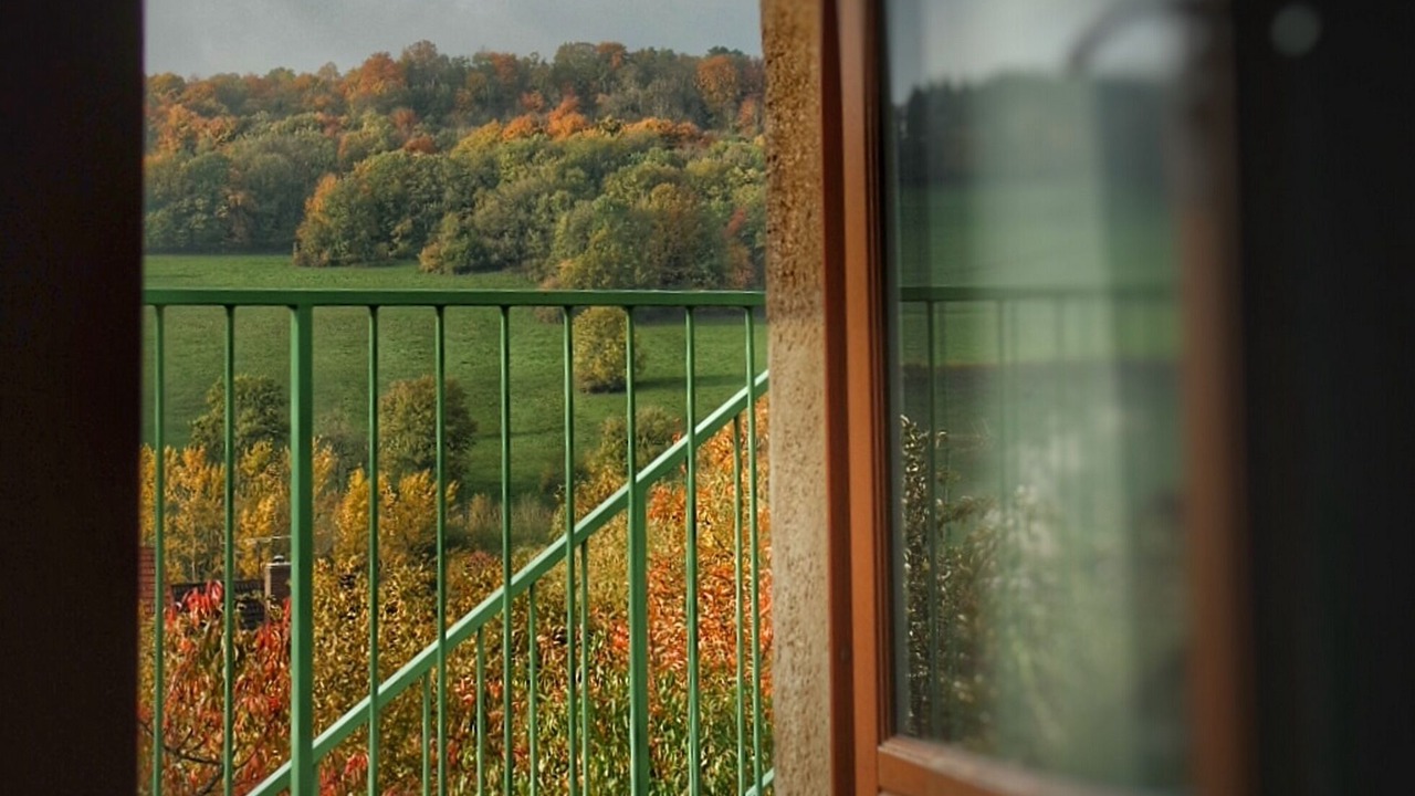 Photo of Others in Trouhaut