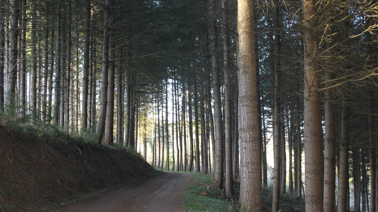 Photo of Others in Ambert