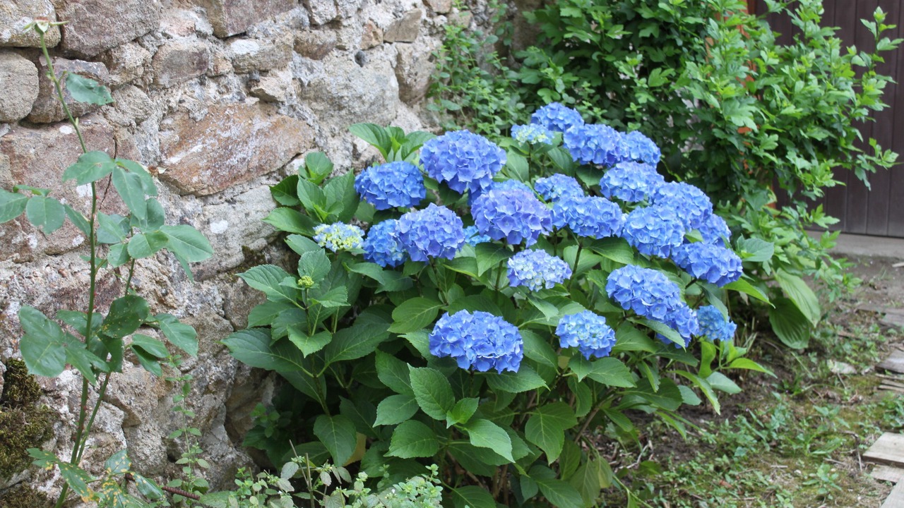 Photo of Outdoor in Ambert