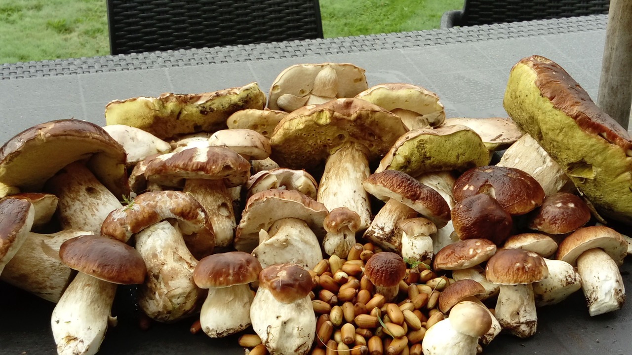 Photo of Others in Ambert