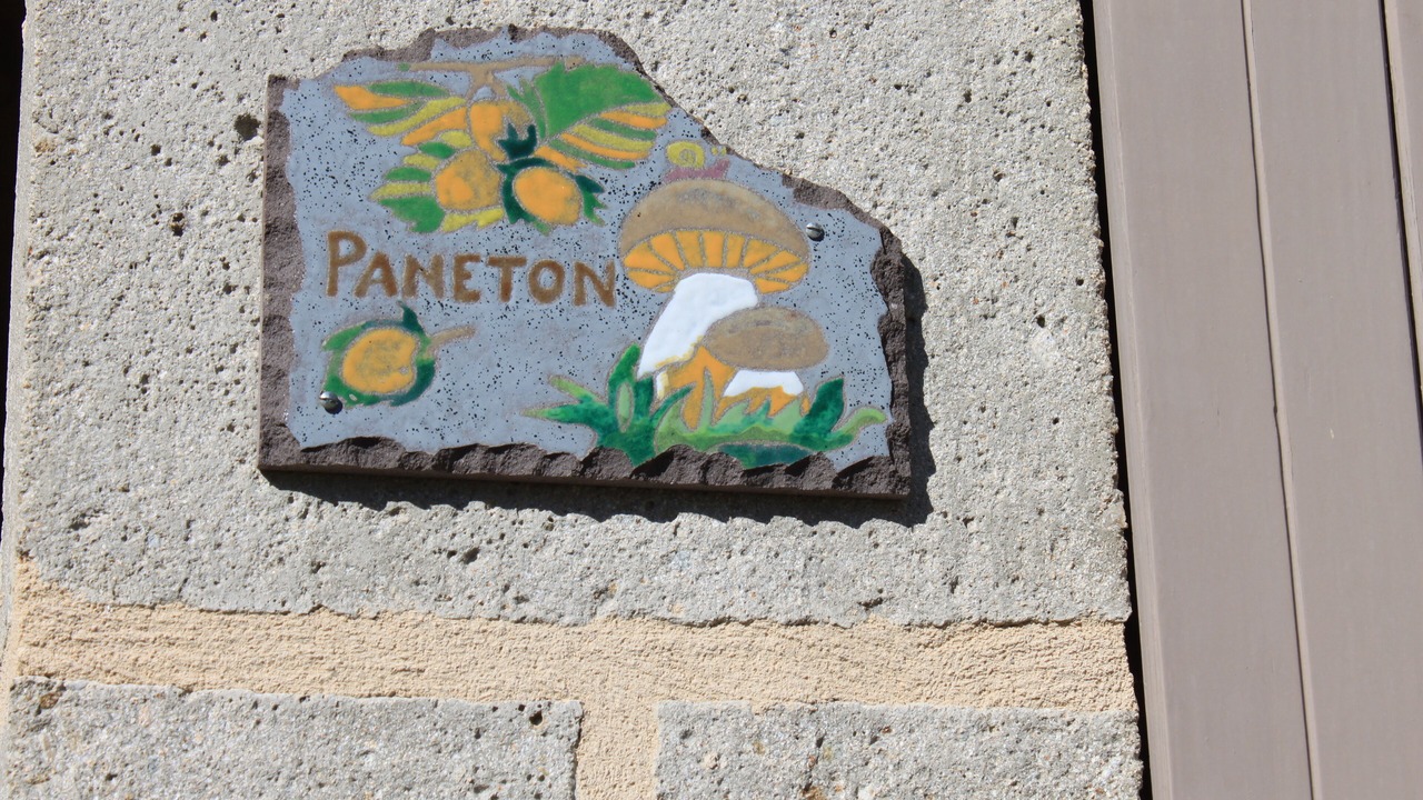 Photo of Outdoor in Ambert