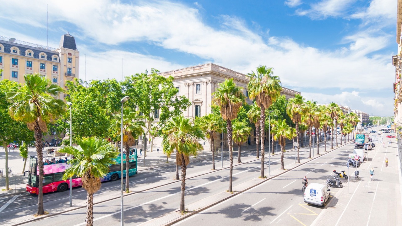 Photo of Others in Ciutat Vella