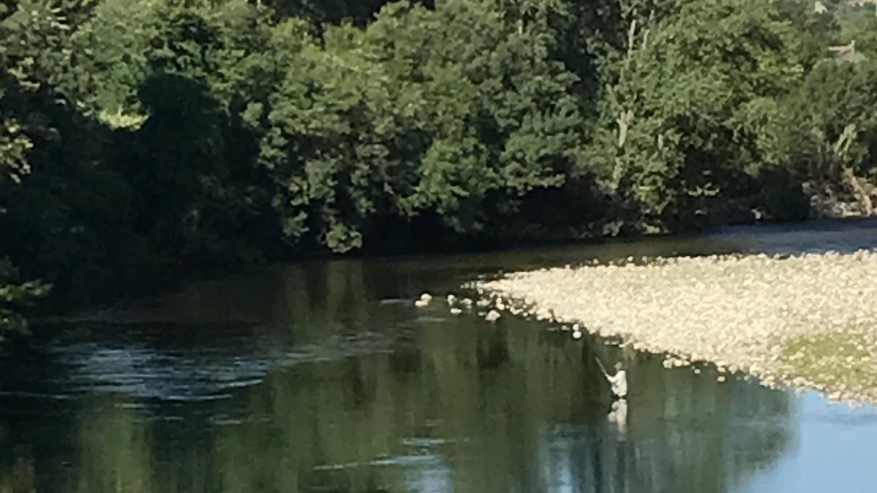 Photo of Outdoor in Cessenon-sur-Orb