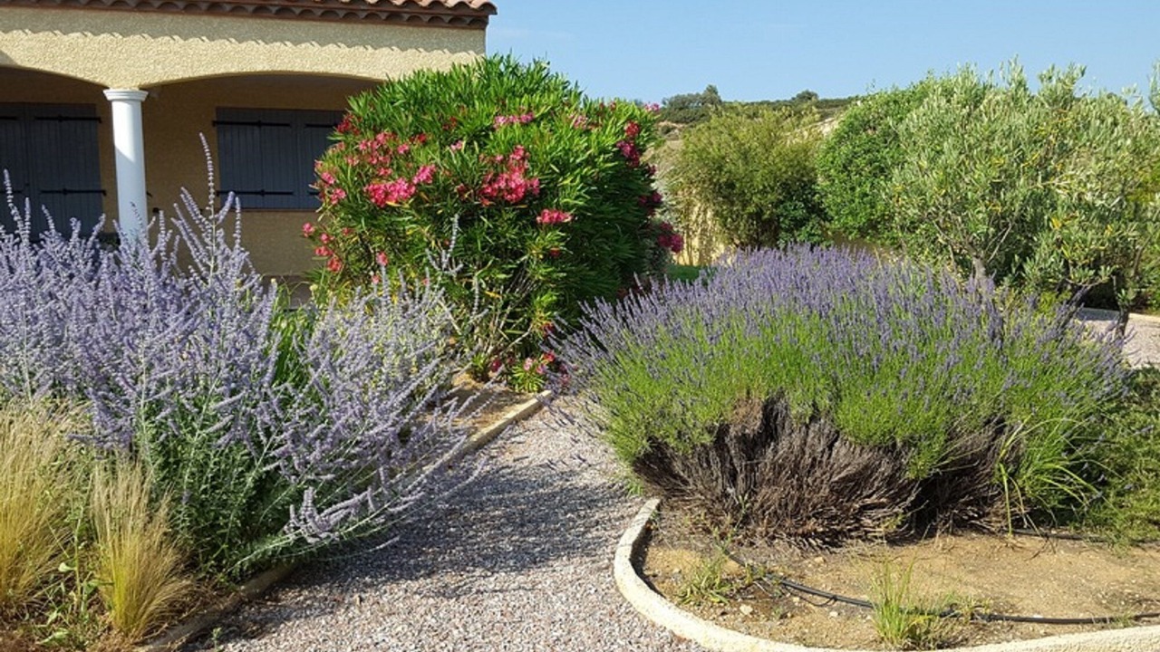 Photo of Outdoor in Cessenon-sur-Orb