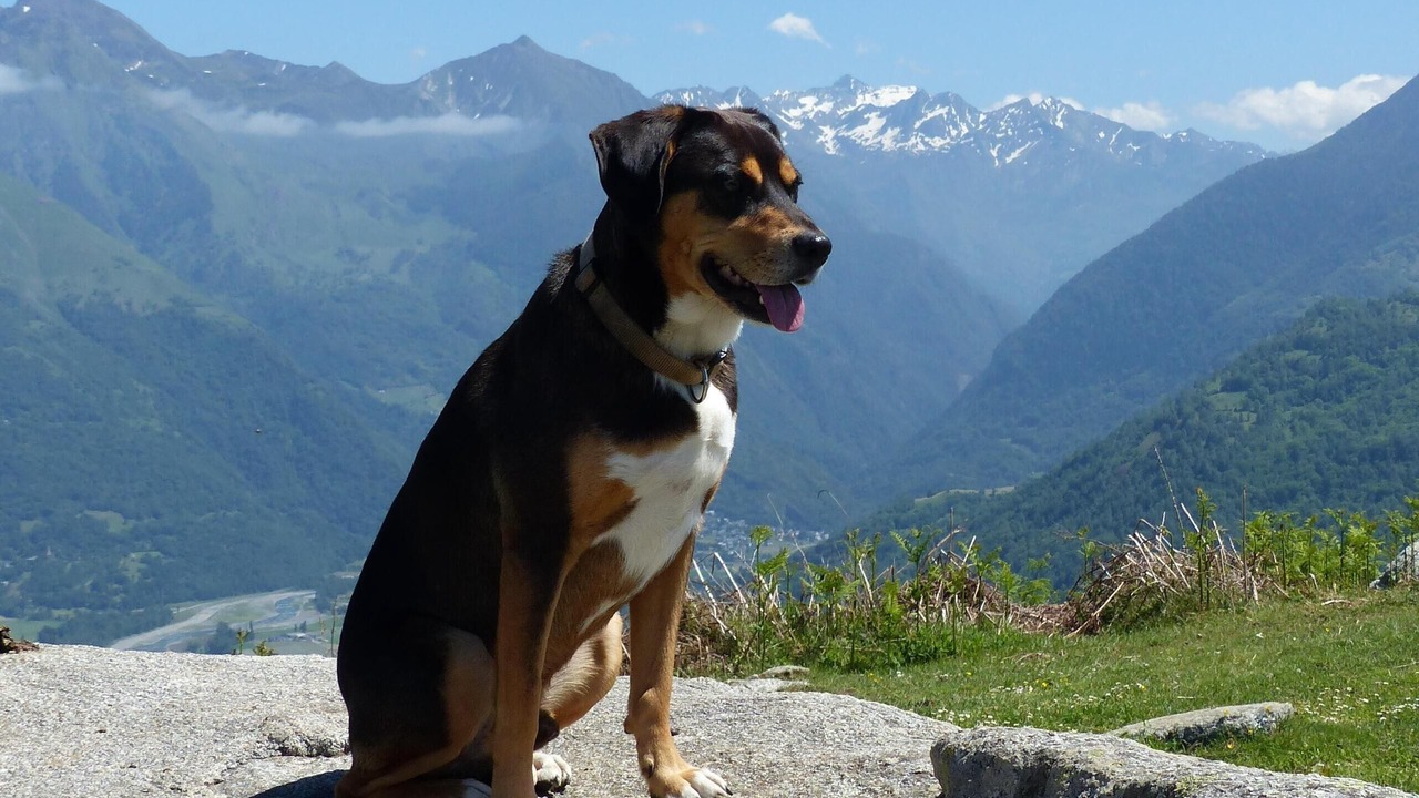 Photo of Outdoor in Ayros-Arbouix