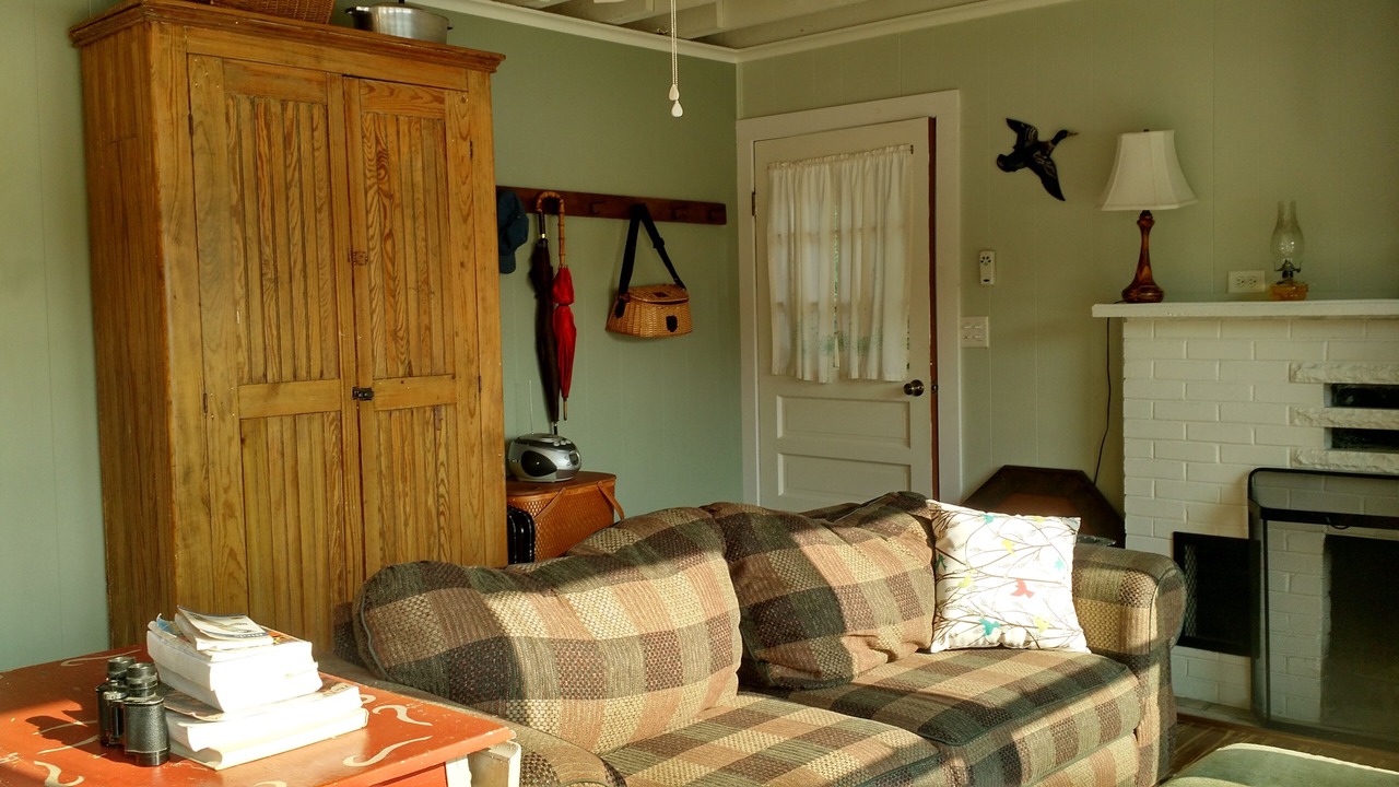 Photo of Livingroom in Delton