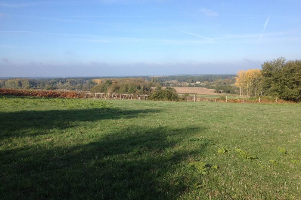 Photo of Outdoor in Fougere