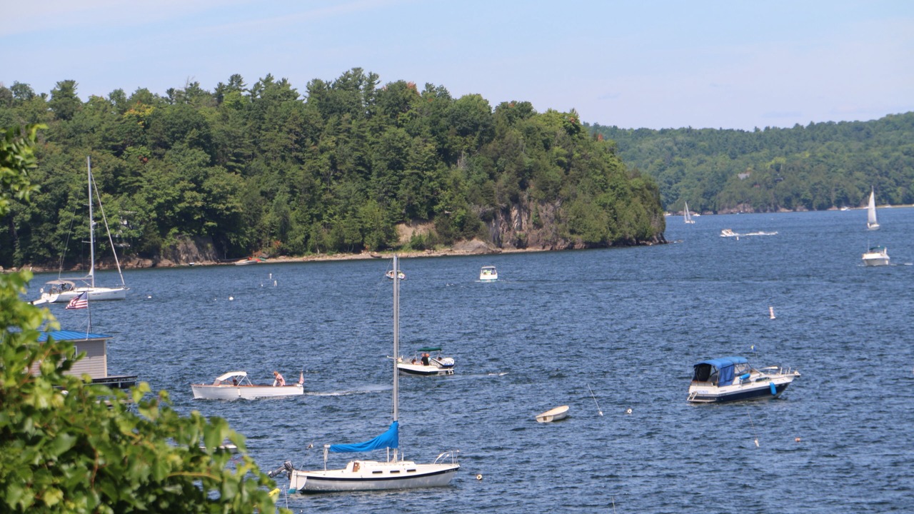 Photo of Others in Malletts Bay