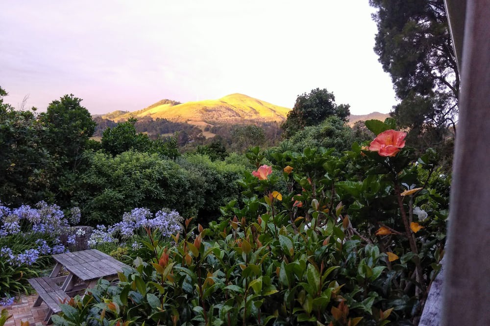 Photo of Outdoor in Paeroa