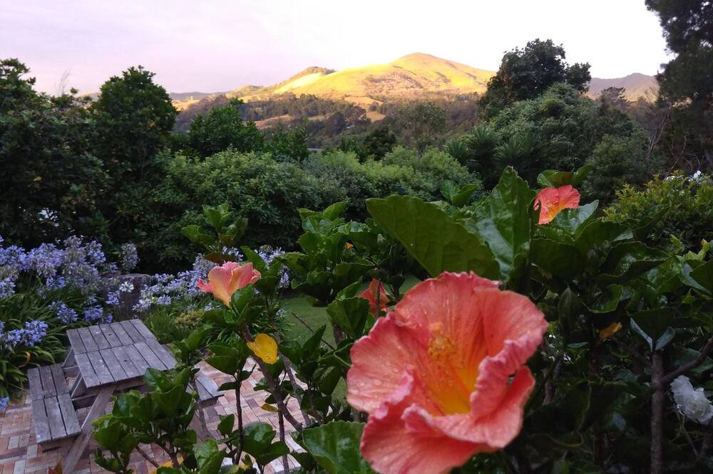 Photo of Outdoor in Paeroa