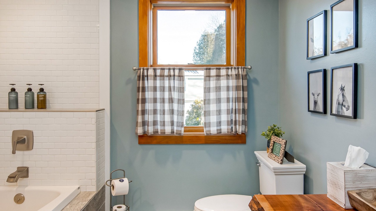 Photo of Others in Malletts Bay