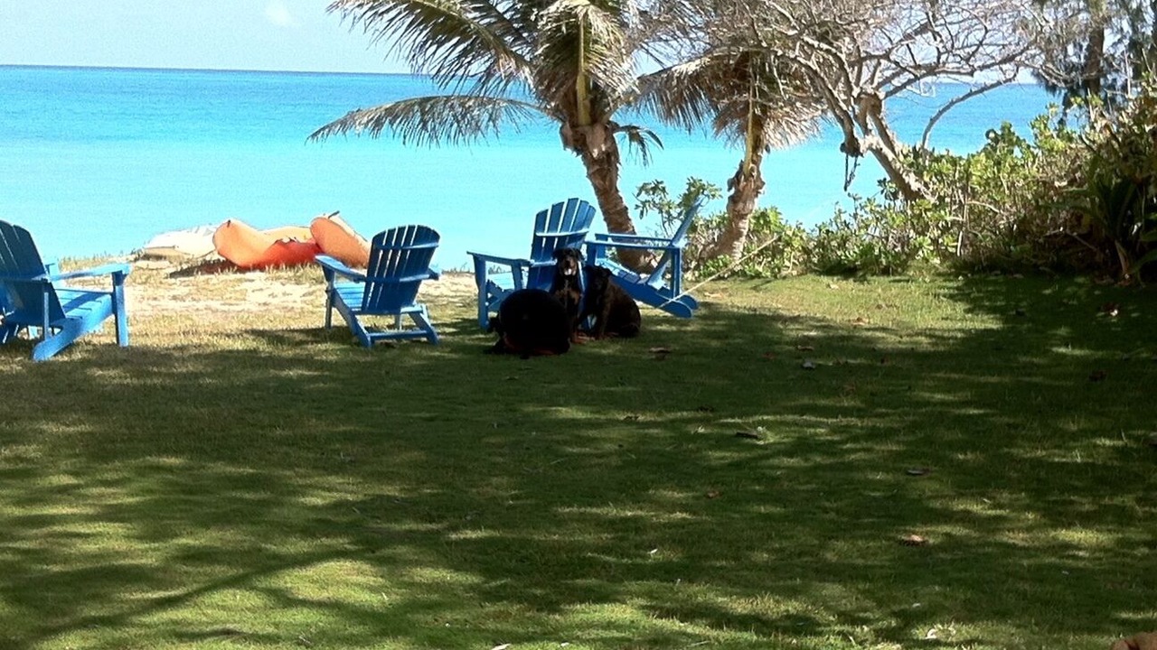 Photo of Outdoor in Waimanalo Beach