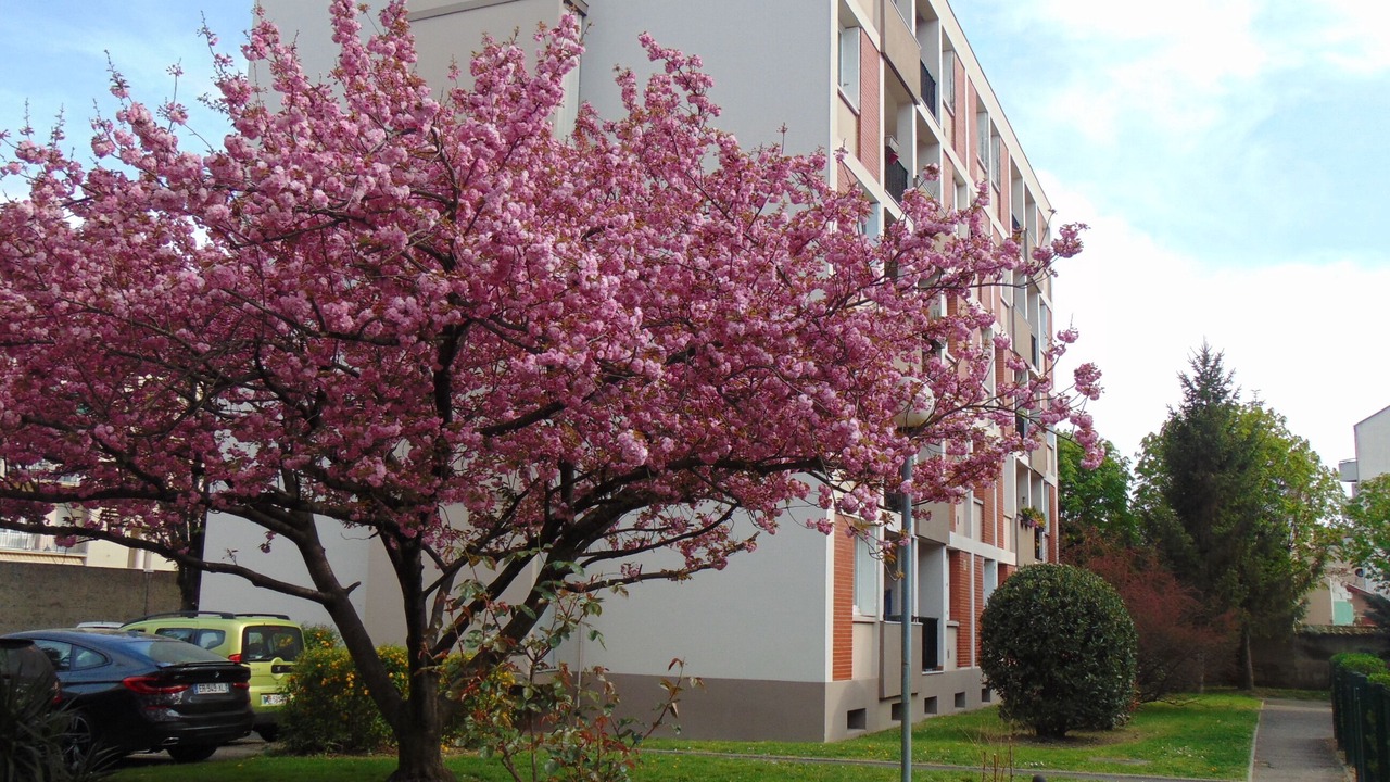 Photo of Outdoor in Les Poulettes