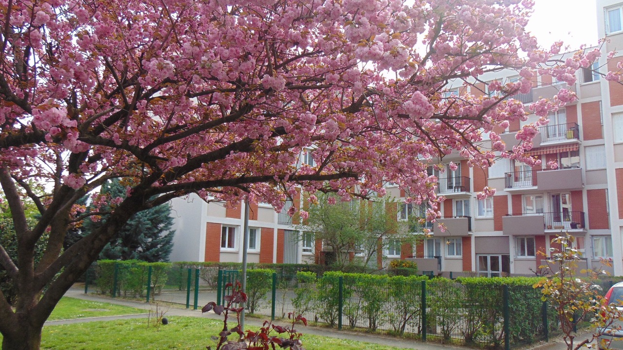 Photo of Outdoor in Les Poulettes