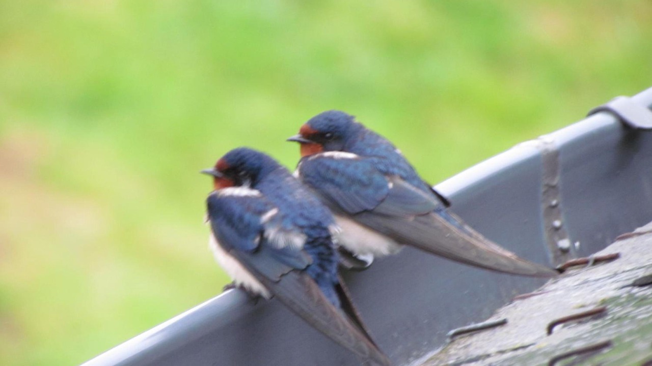 Photo of Outdoor in Kerien