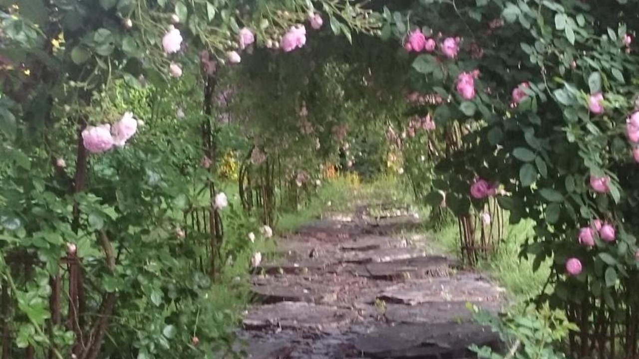 Photo of Outdoor in La Ferriere