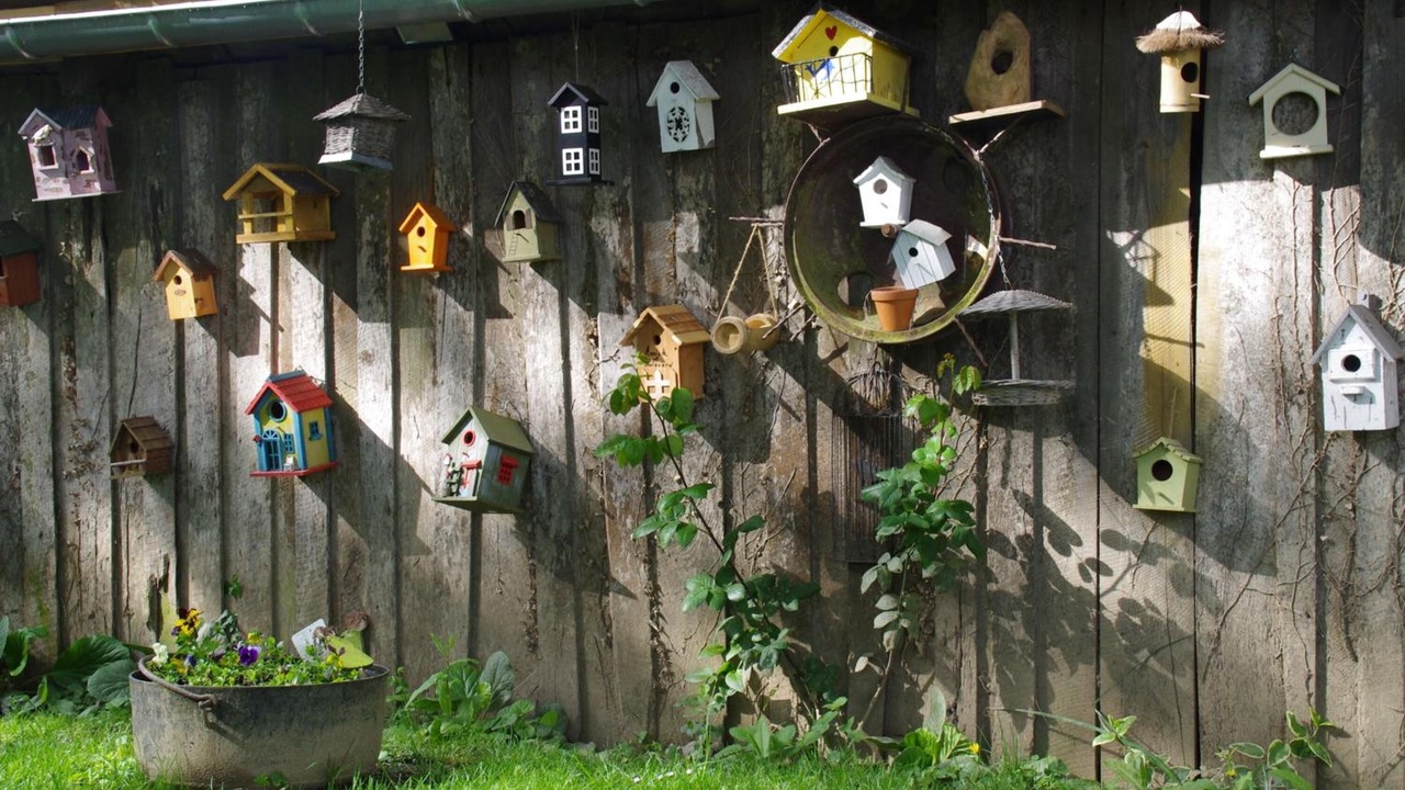 Photo of Outdoor in La Ferriere