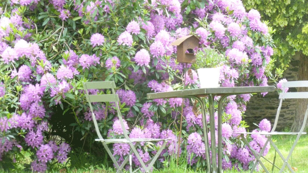 Photo of Outdoor in La Ferriere