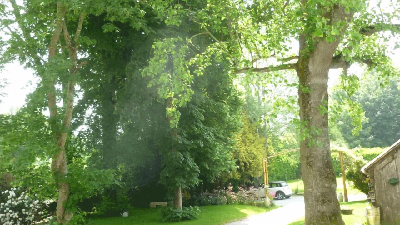 Photo of Outdoor in La Ferriere