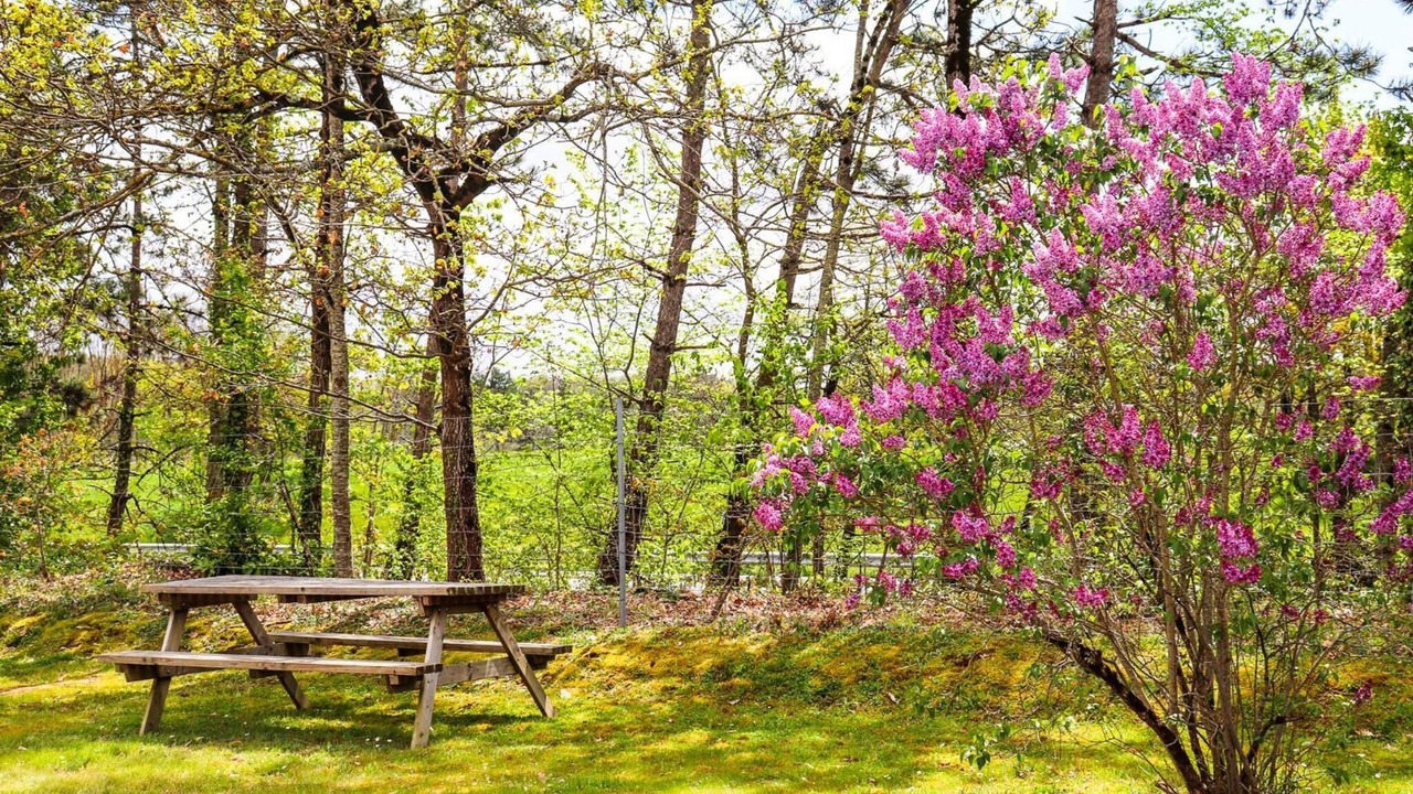 Photo of Outdoor in Le Passage