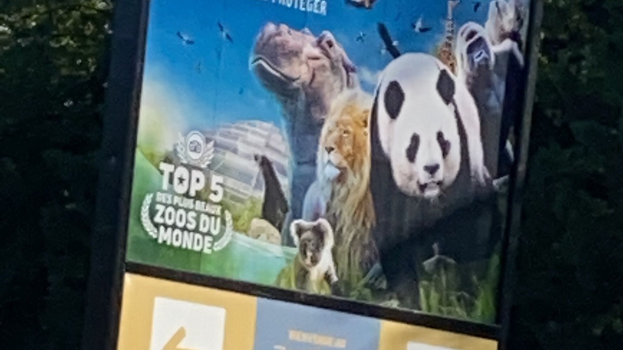 Photo of Others in Francueil