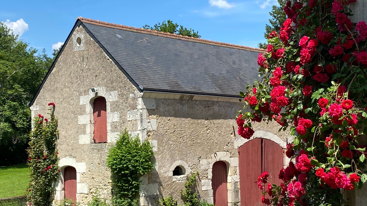 Photo of Outdoor in Francueil