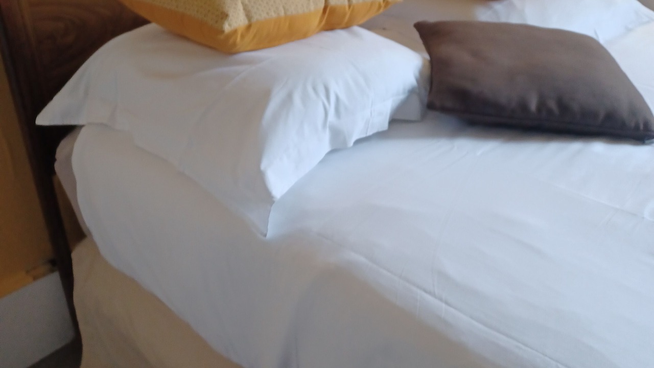 Photo of Bedroom in Bourgueil