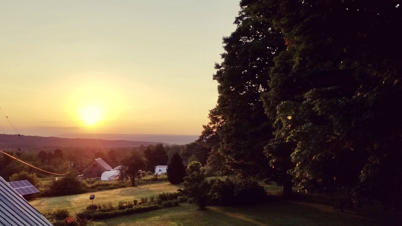 Photo of Bedroom in Newfield