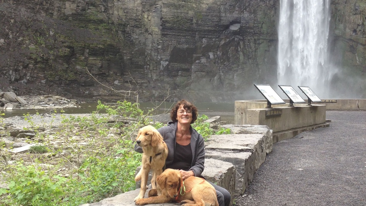 Photo of Others in Newfield