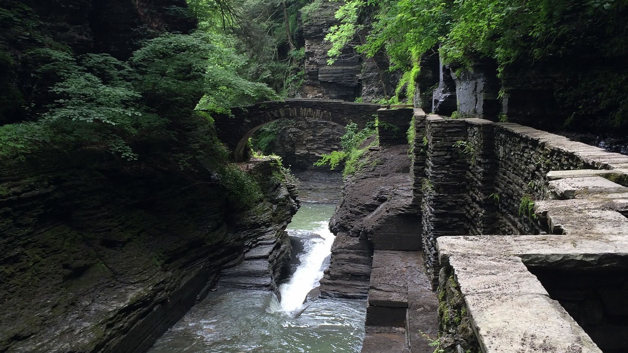 Photo of Others in Newfield