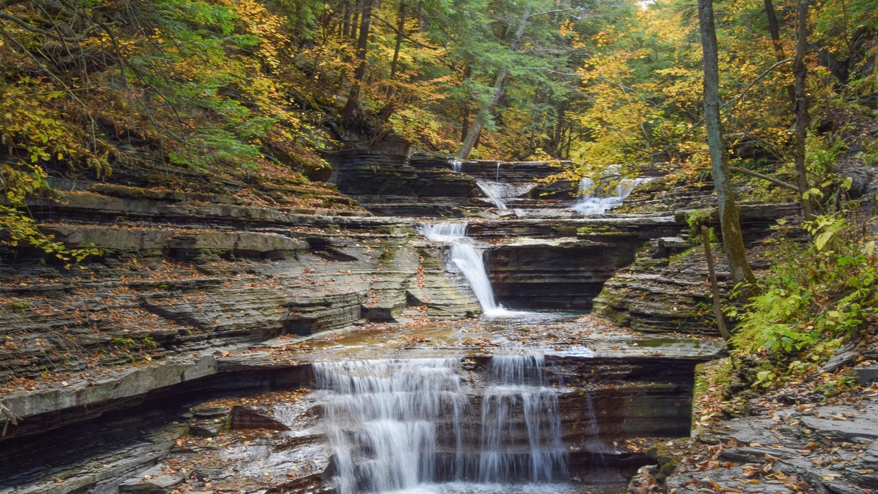 Photo of Others in Newfield