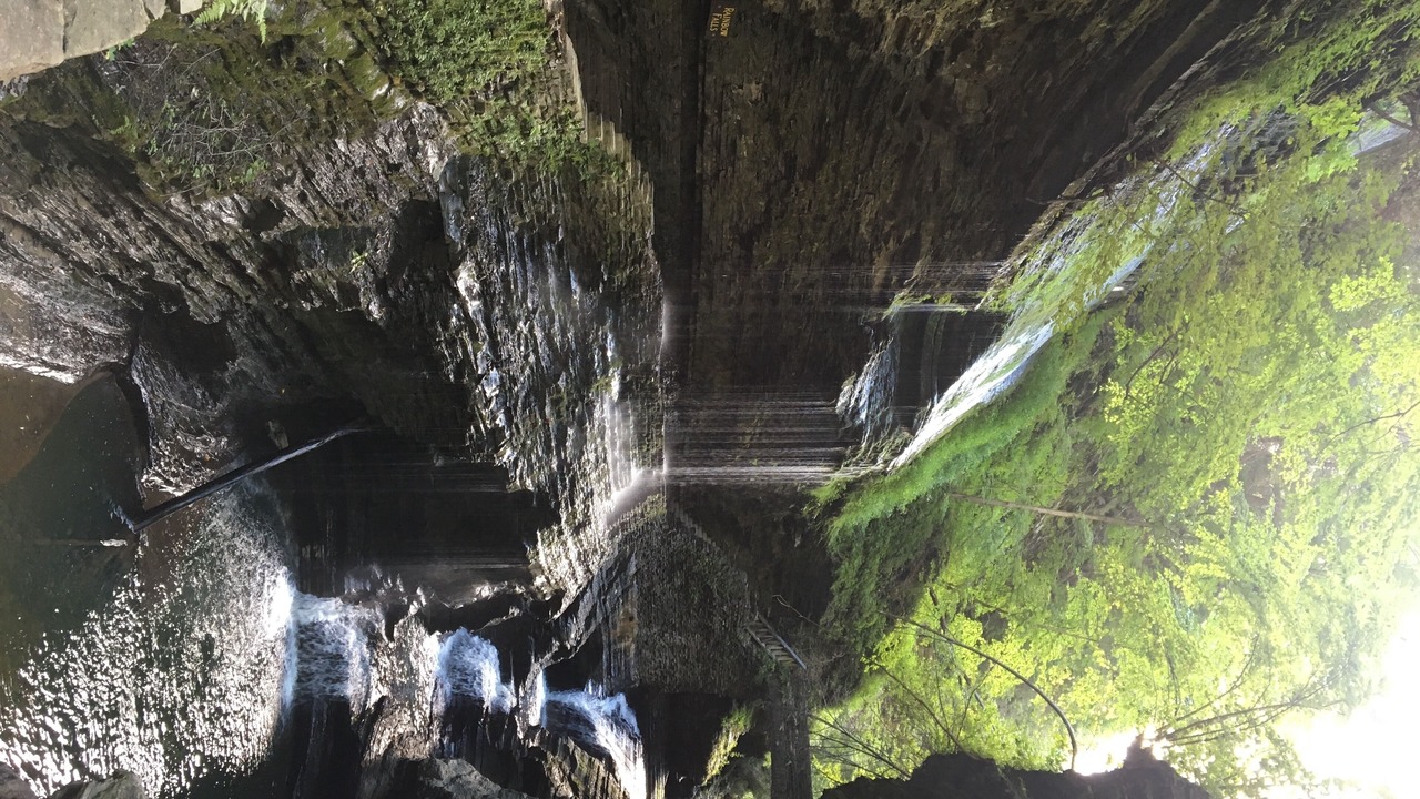 Photo of Others in Newfield