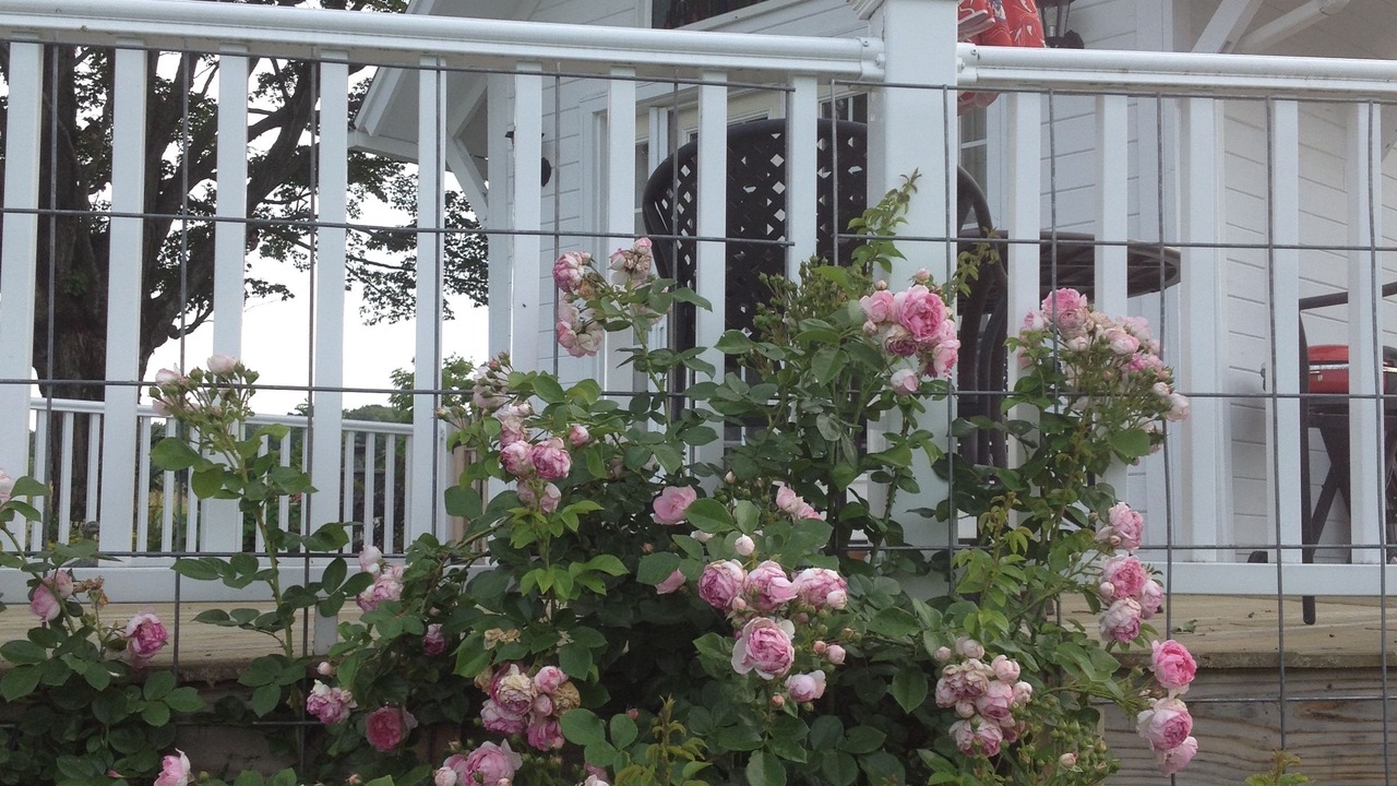 Photo of Others in Newfield