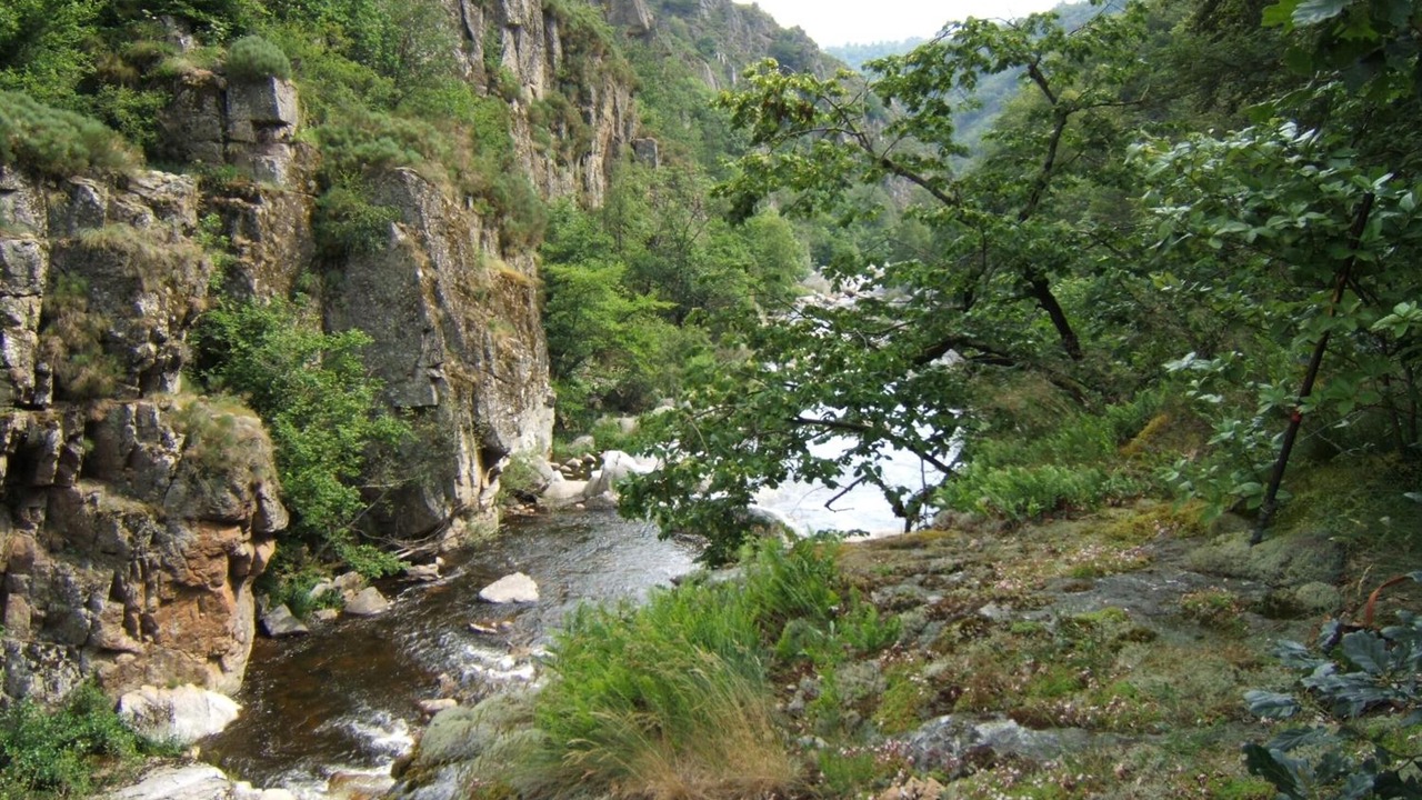 Photo of Outdoor in Lavastrie