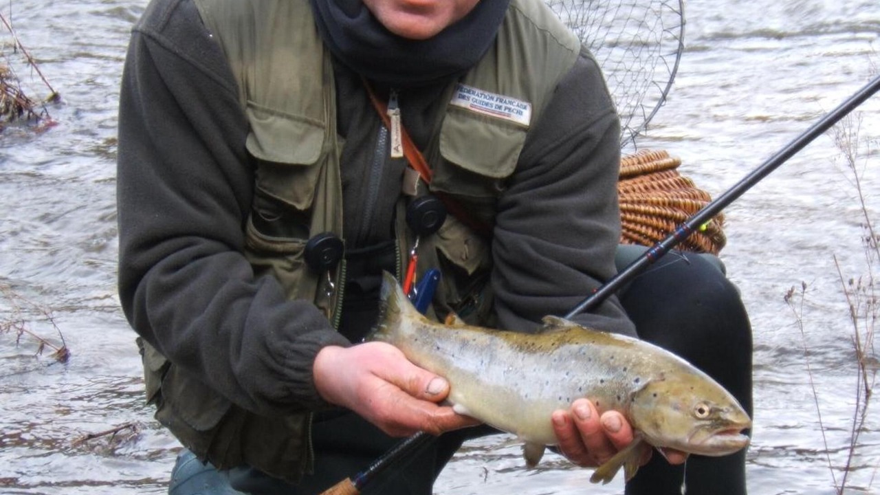 Photo of Others in Lavastrie