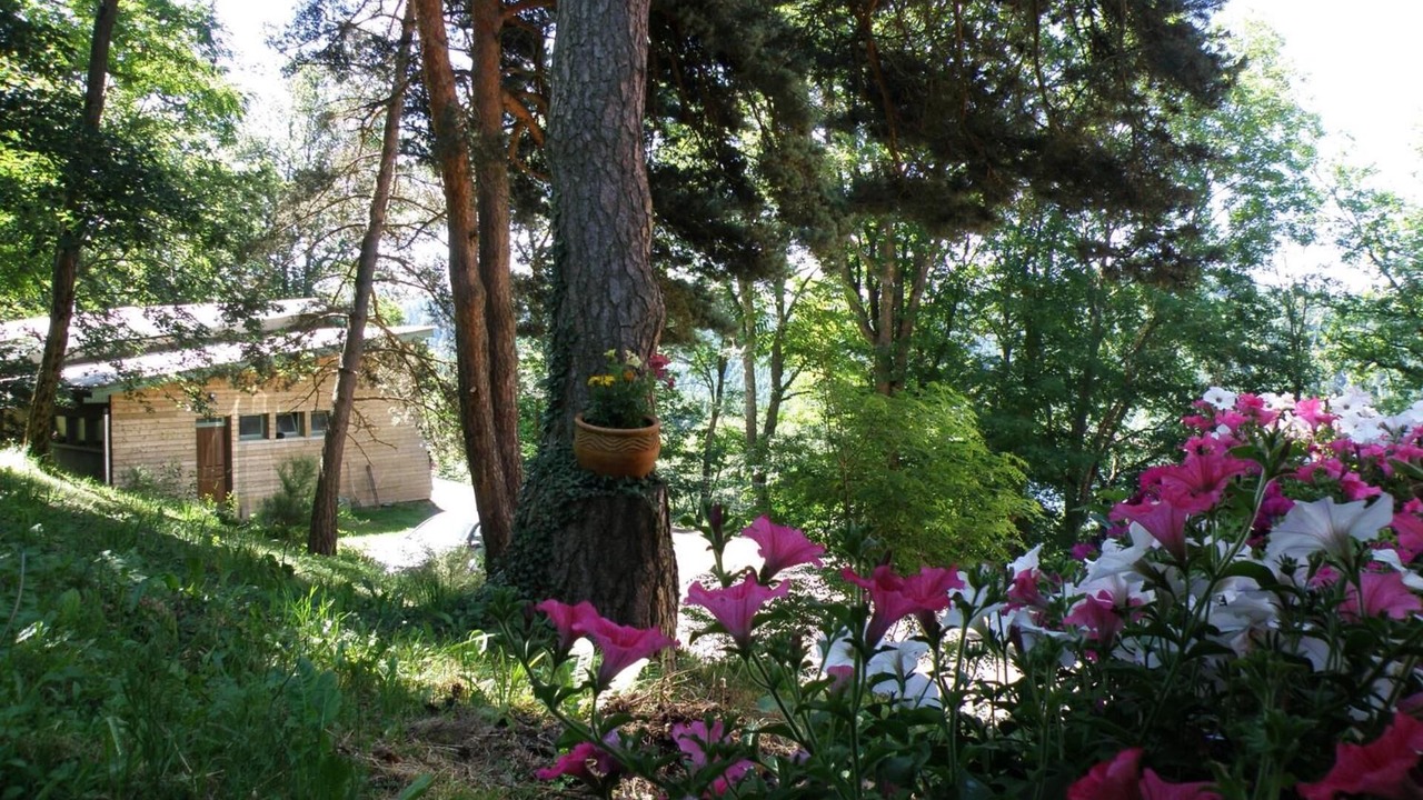 Photo of Outdoor in Lavastrie