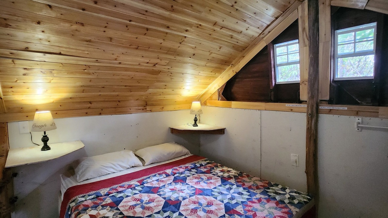 Photo of Others in Fern Forest