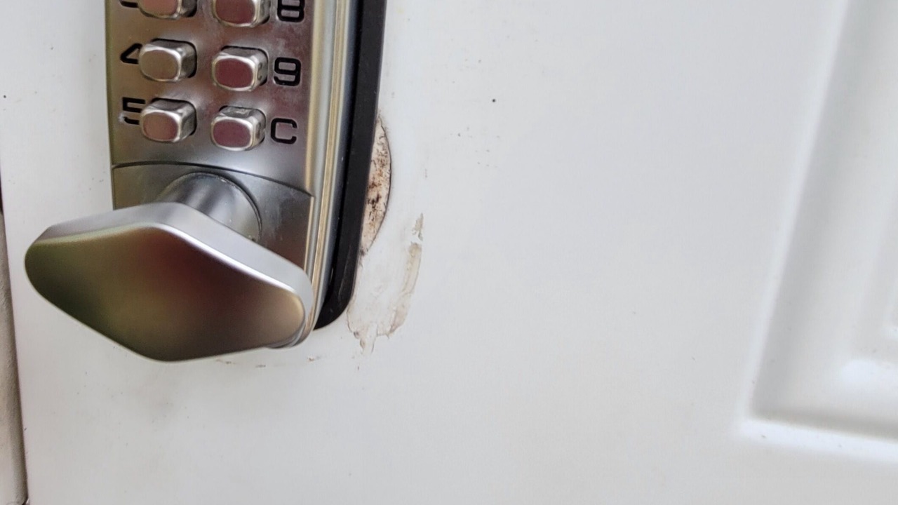 Photo of Others in Fern Forest