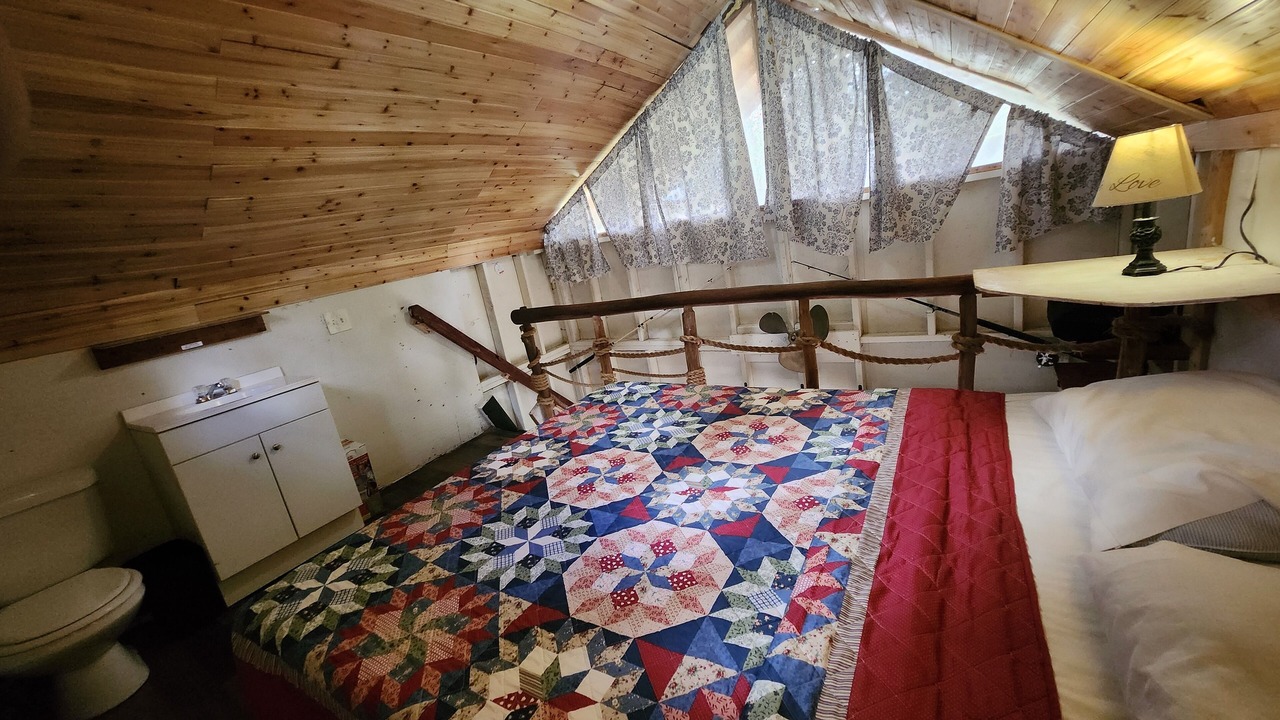 Photo of Others in Fern Forest